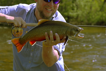 Mark Melnyk: Trophy Brook Trout